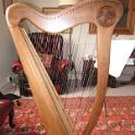 133 Tish's New Harp - April 2010